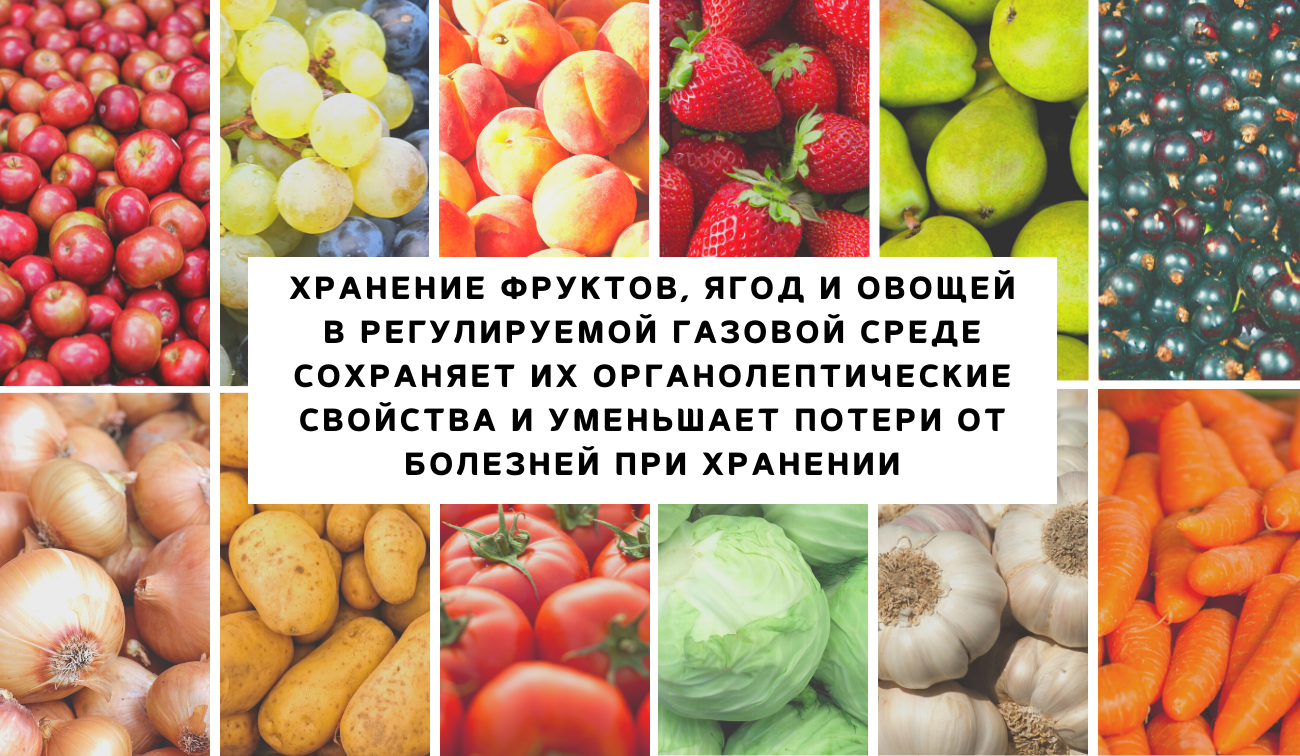 Хранение фруктов в регулируемой газовой среде должно сохранять не только их органолептические свойства, но и уменьшать потери фруктов от болезней при хранении